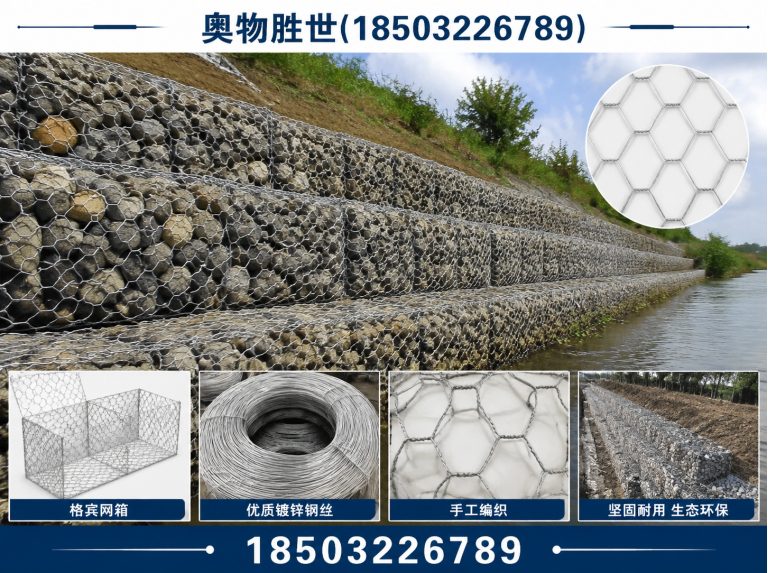 东方奥物胜世展示图